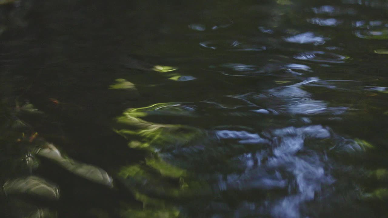 反射纹理表面上的一条温和的溪流在热带雨林视频下载