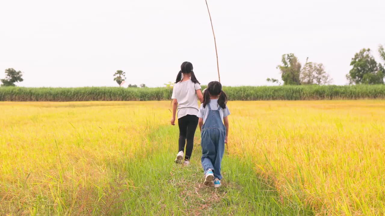 两个亚洲姐妹在稻田里玩耍，探索和观察水稻的生长，拥抱智能农业的概念。视频下载