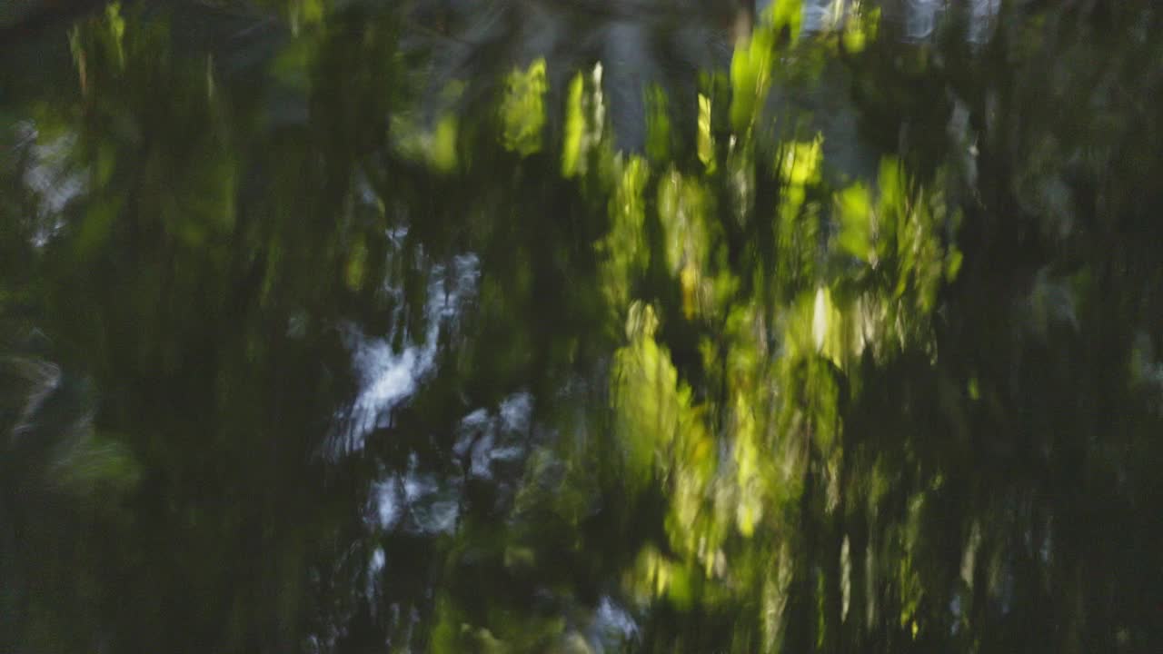 反射纹理表面上的一条温和的溪流在热带雨林视频素材