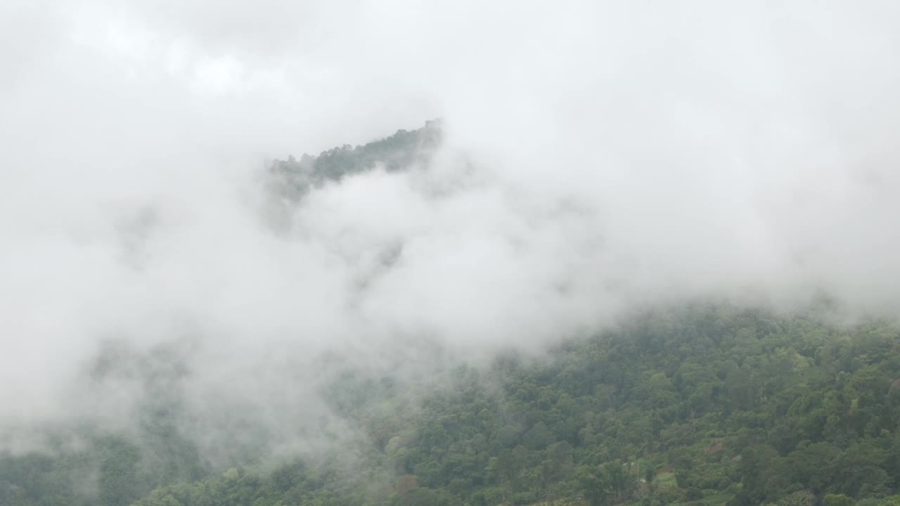 山脉的景色小山与绿色雨林和薄雾云雾风流在冬季白天的山脉视频下载