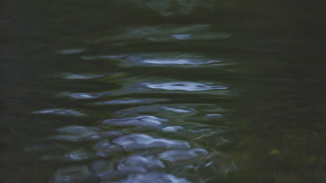 反射纹理表面上的一条温和的溪流在热带雨林视频下载