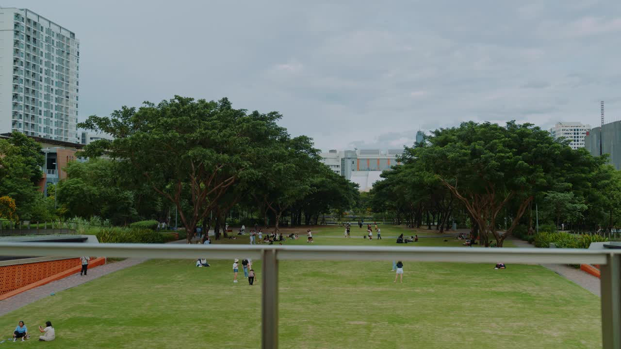 多民族的Z世代朋友在公园的桥上微笑聊天视频素材