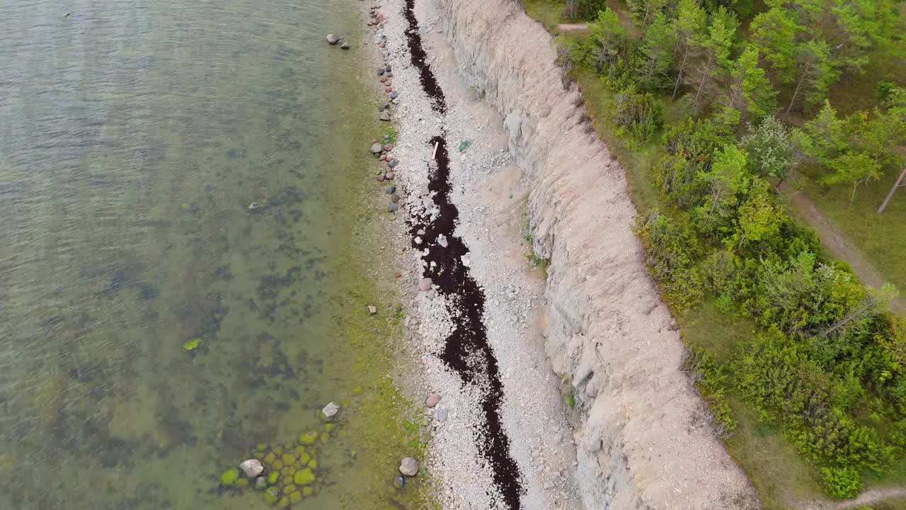 波罗的海Kuressaare附近的Saaremaa岛北岸，Panga海岸悬崖和灯塔。萨雷马，爱沙尼亚。潘加悬崖的4K全景航拍视频视频素材