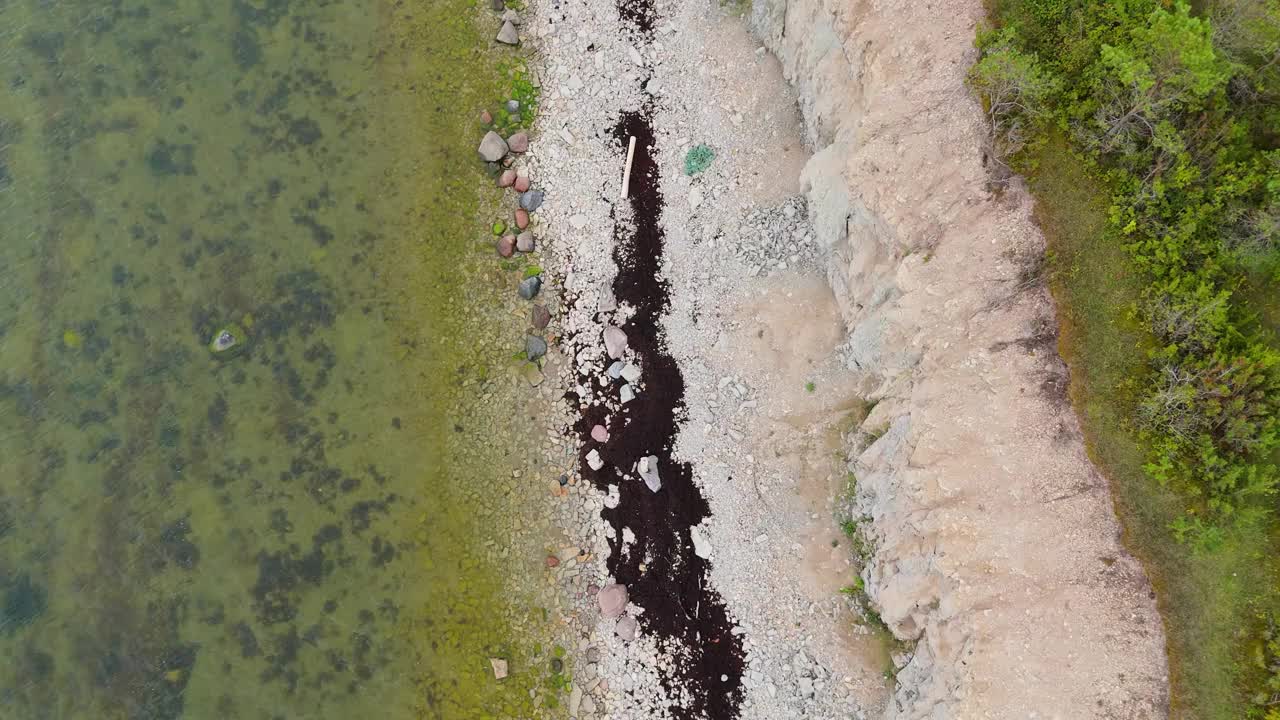 波罗的海Kuressaare附近的Saaremaa岛北岸，Panga海岸悬崖和灯塔。萨雷马，爱沙尼亚。潘加悬崖的4K全景航拍视频视频下载