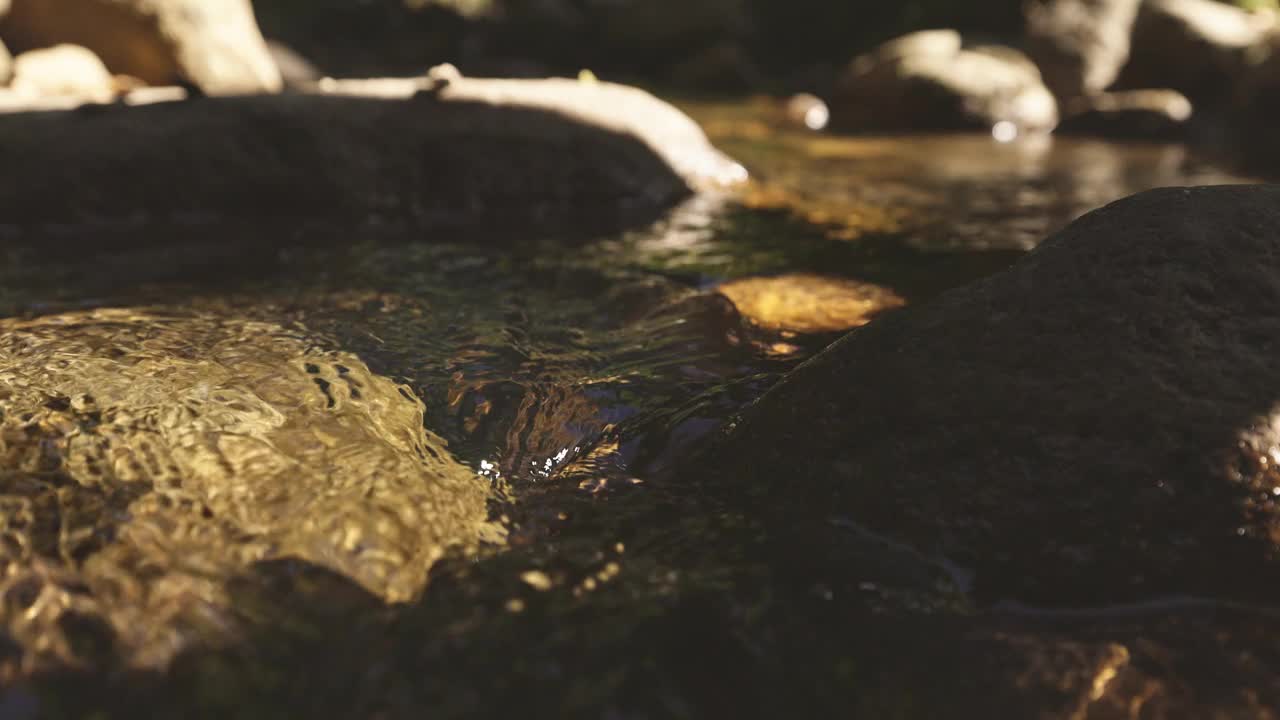 自然景观的水流过岩石在一个温和的溪流在热带雨林视频下载