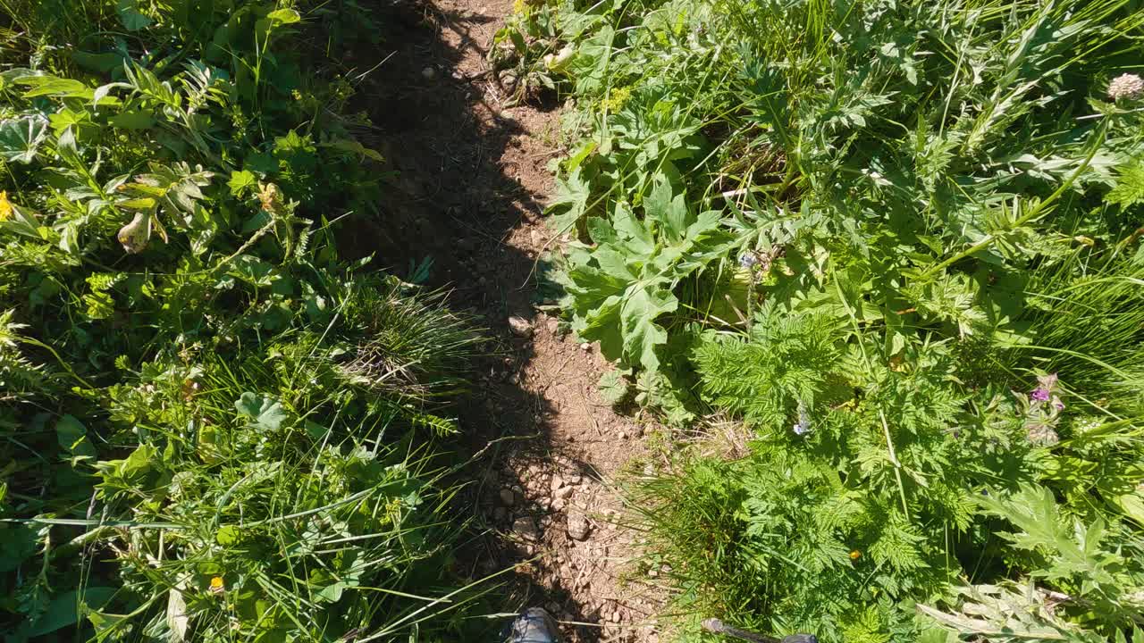 第一人称视角的徒步旅行者的脚走在一个狭窄的山坡视频素材