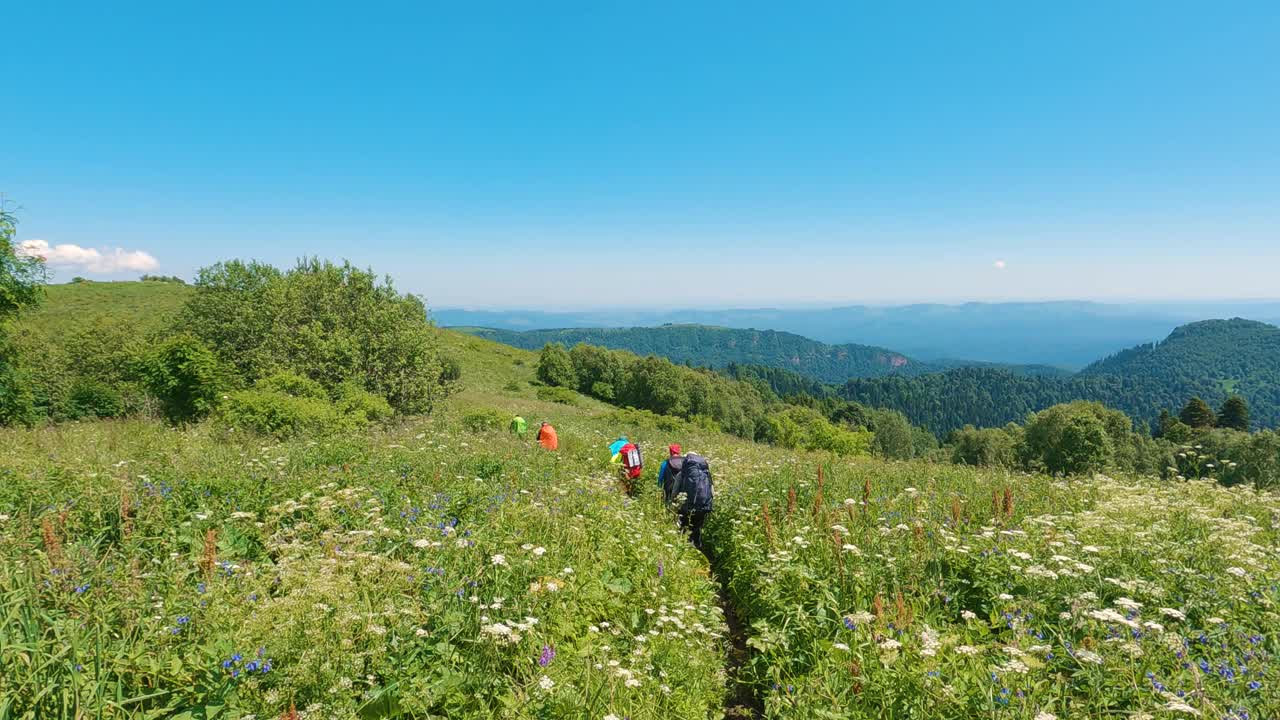 一群游客正沿着长满高草的山间小道走着视频下载