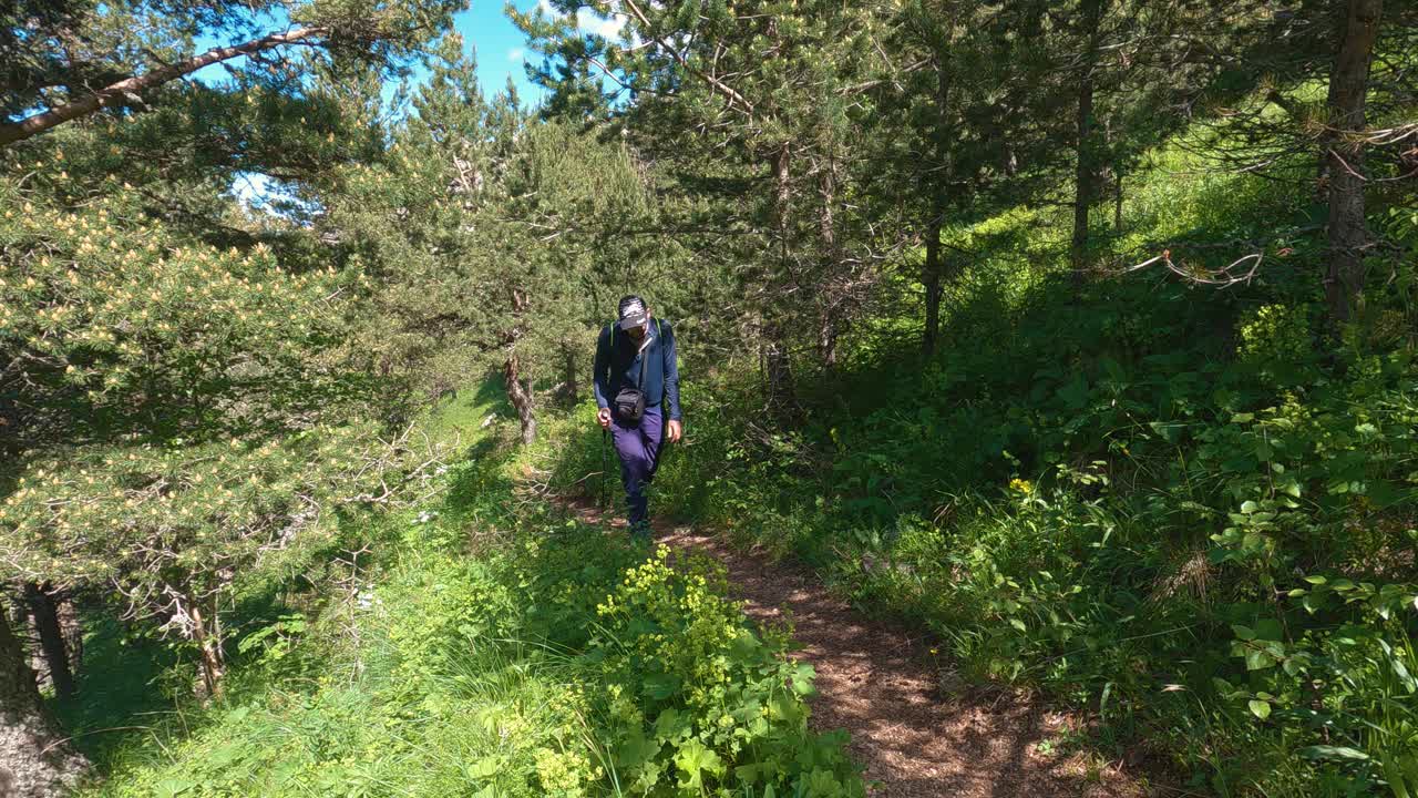 一个孤独的男性徒步旅行者沿着森林中的山路行走视频下载