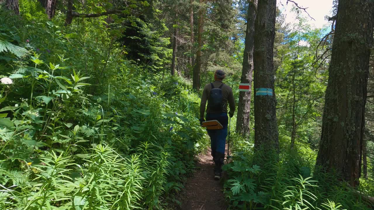 摄像机跟随一个步行者沿着山间的森林小径行进视频下载