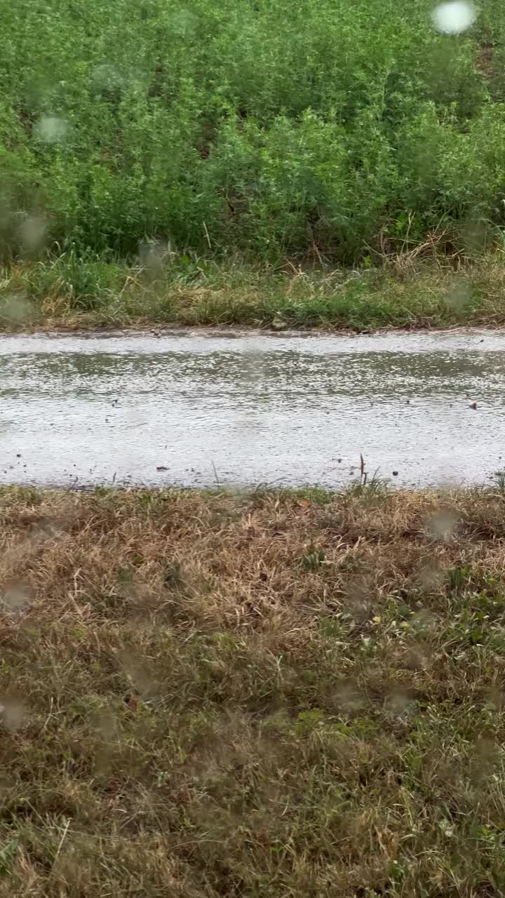 暴雨落在乡村街道上视频下载