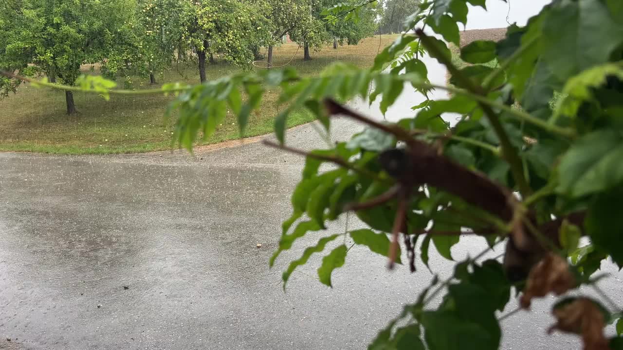 暴雨落在乡村街道上视频下载