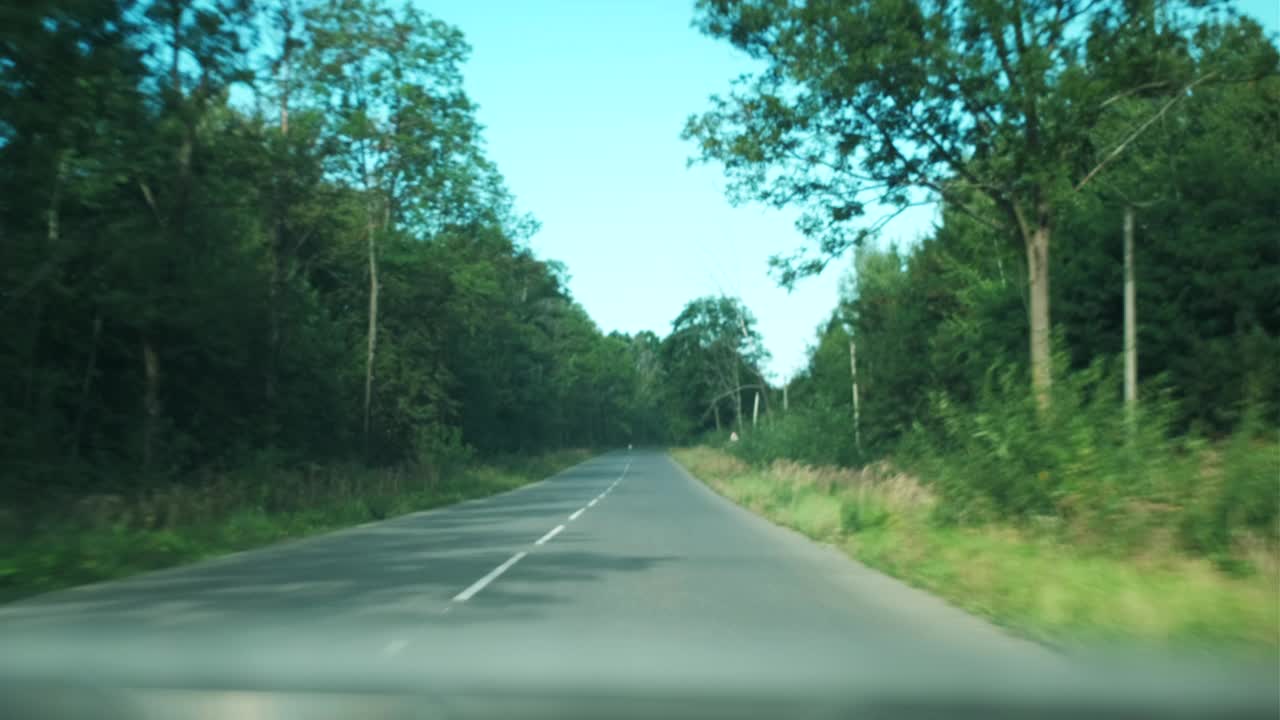 从行驶在有白色标记的道路上穿过乡村的车内观看。早上开车穿过风景秀丽的森林公路。旅游的概念视频下载