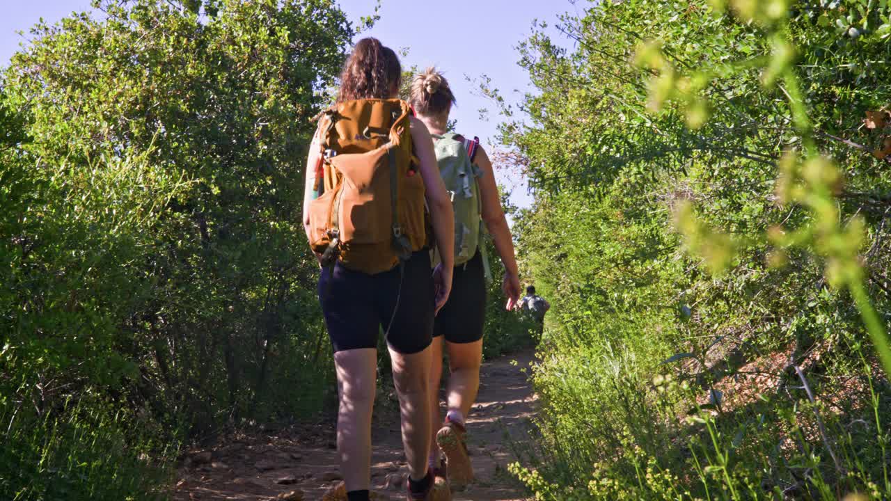 妇女徒步旅行在一个风景秀丽的小道在库亚马卡兰乔州立公园加州4k股票视频视频下载