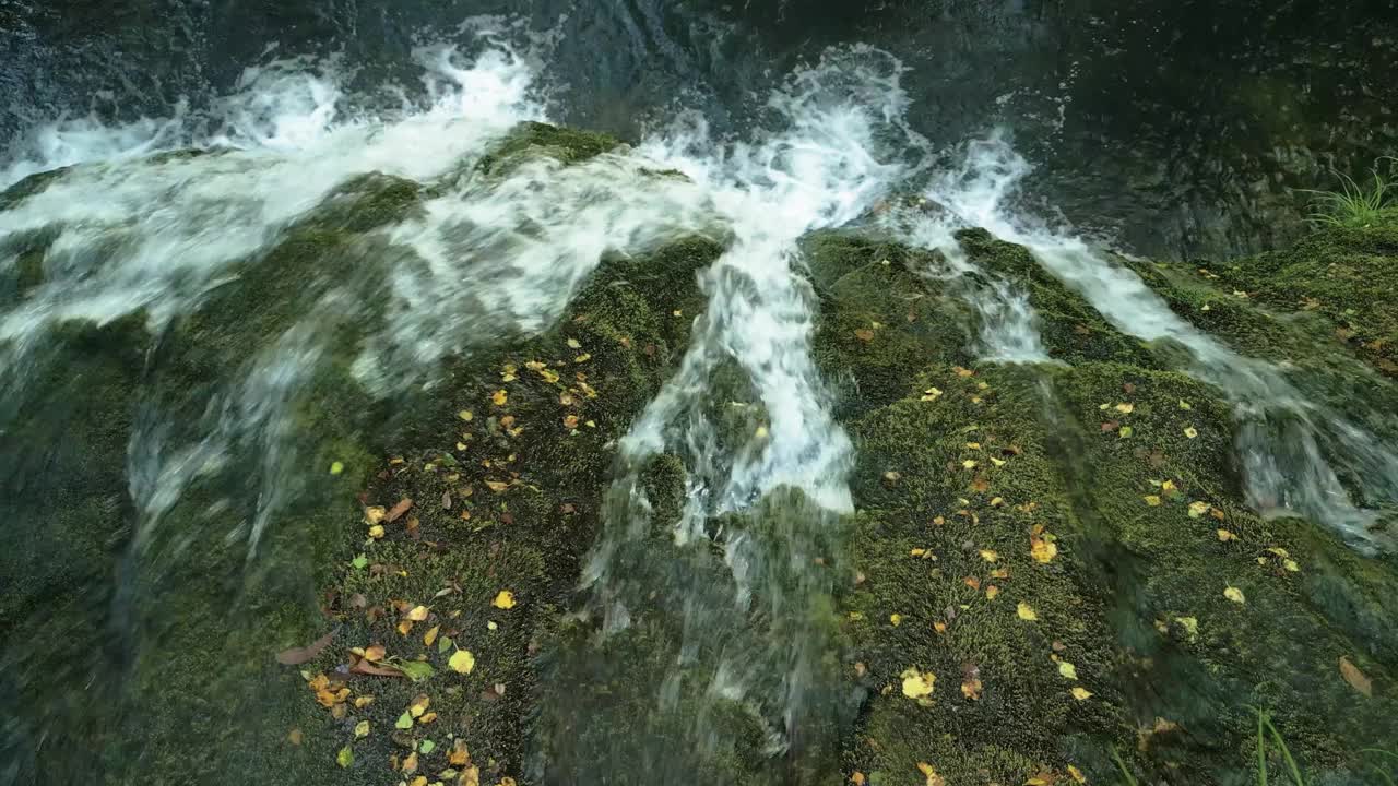 瀑布在岩石上的风景与绿色的苔藓在森林中。头顶球视频素材