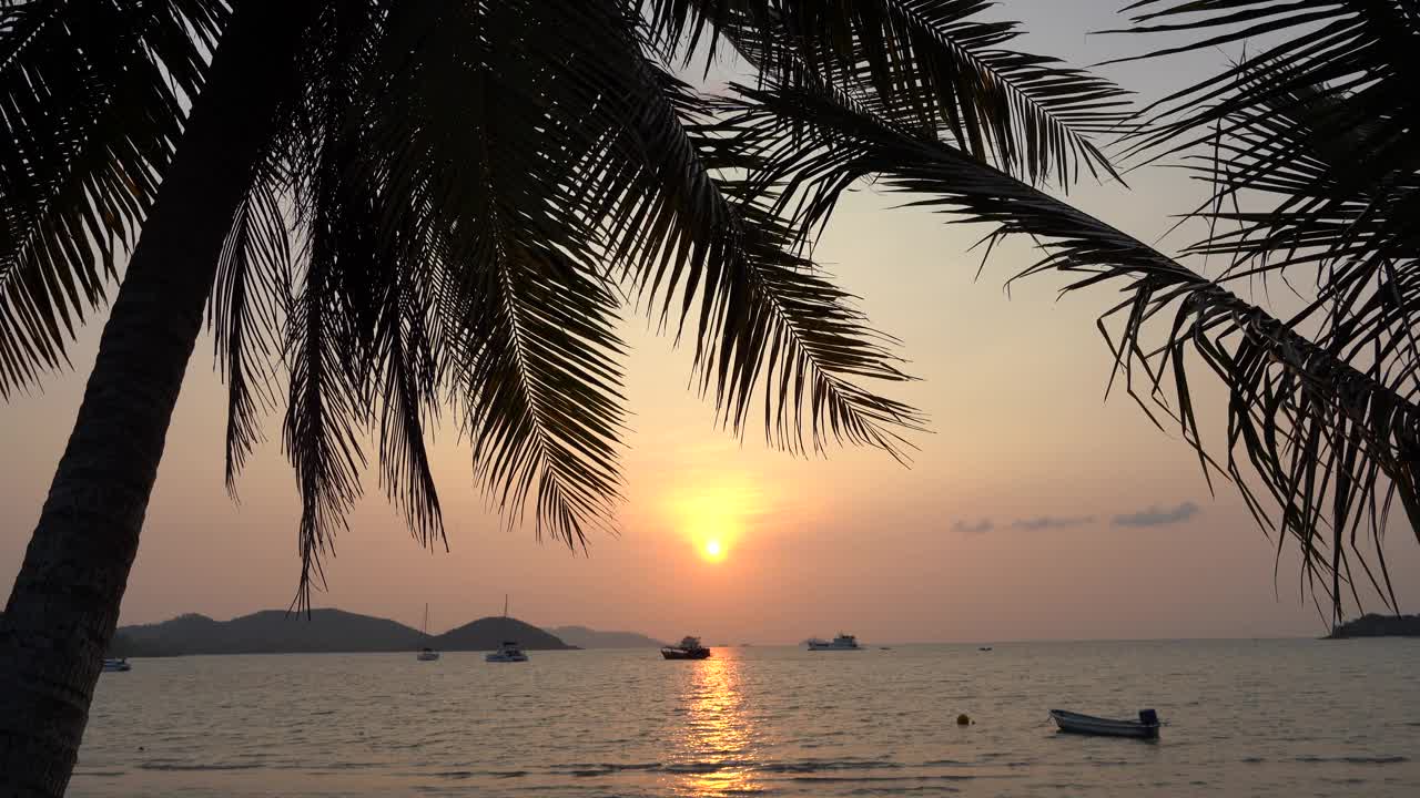 日落在沙滩上看椰子树和美丽的海滩，麦岛或麦岛，泰国，亚洲视频下载