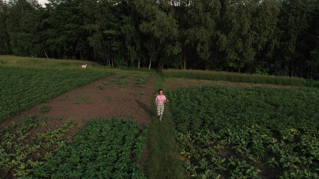 鸟瞰美丽的女人在森林附近的夏日田野草地上奔跑。视频下载