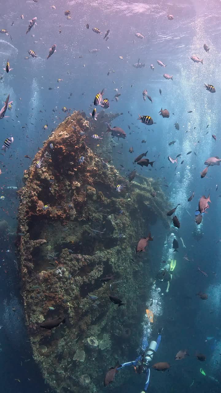 自由海难视频素材