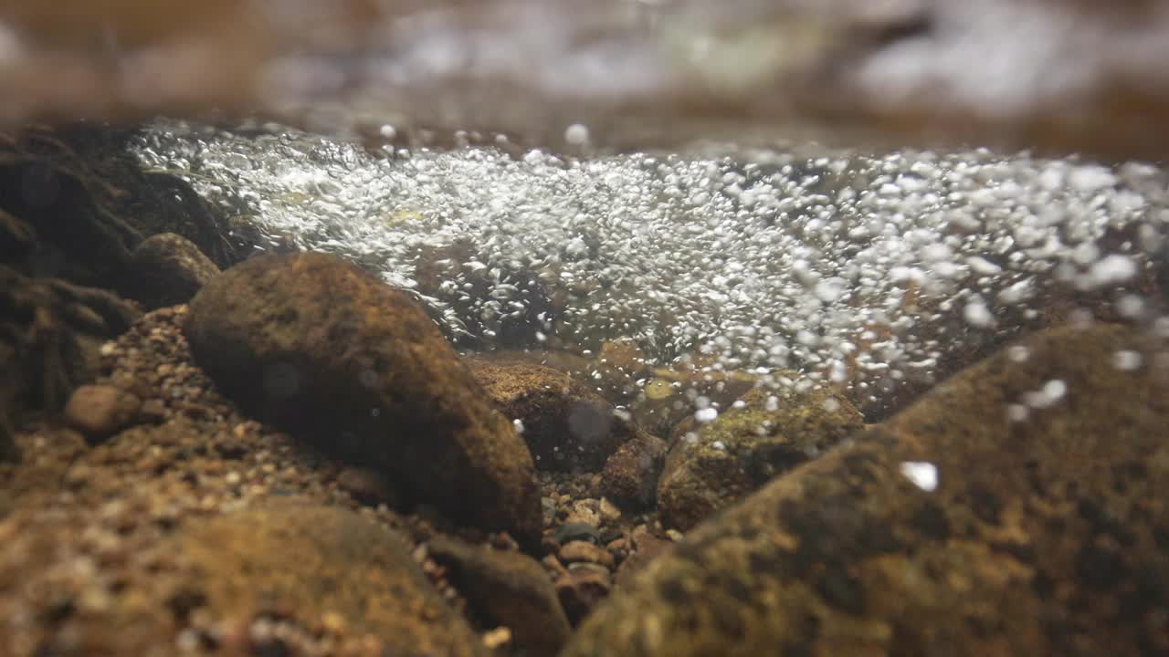 自然的水下泡沫和岩石的表面下的一个温和的流动的溪流在雨林视频下载