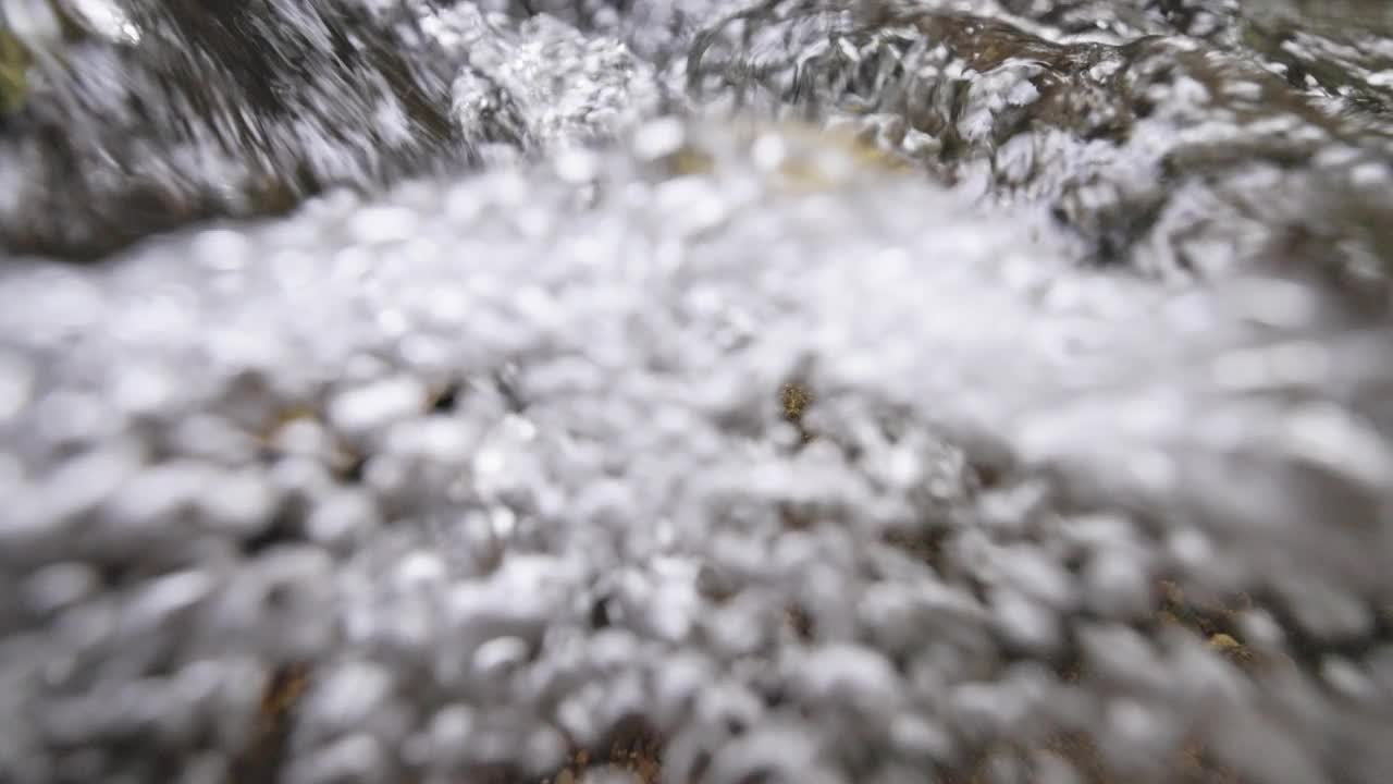 这是热带雨林中一条平缓流动的溪流表面下的分镜头视频下载