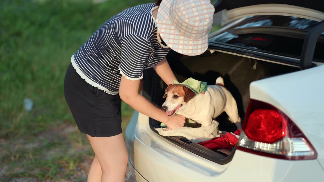 一位亚洲年轻女子小心翼翼地把她的小狗杰克罗素猎犬放进汽车后备箱，以确保它们准备好了安全舒适的旅程。宠物旅行小贴士，冒险计划，以及与毛茸茸的同伴一起的公路旅行。视频下载