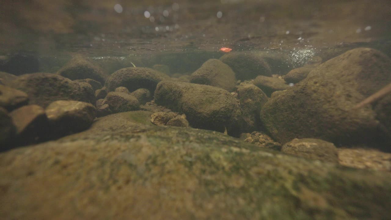 水下自然景观与树叶轻轻地流下岩石底部的溪流在热带雨林视频下载