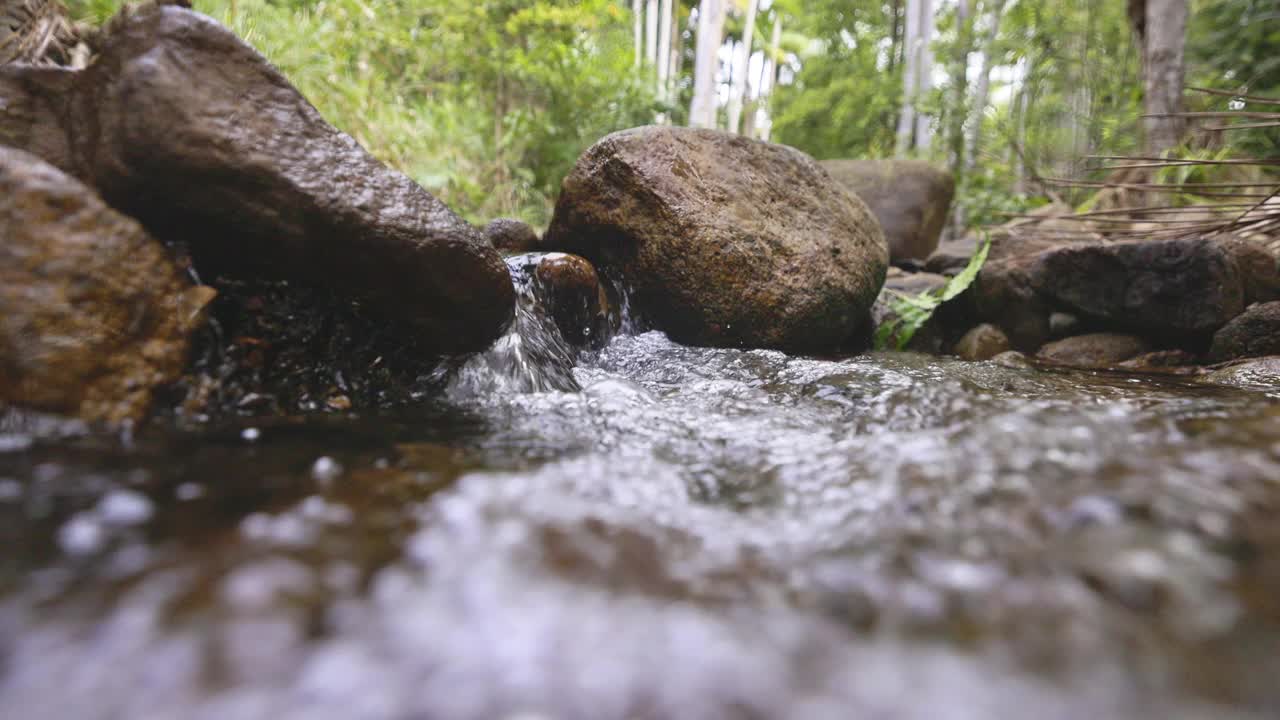 在雨林中一条平缓流动的小溪的表面下拍摄的分裂镜头视频下载