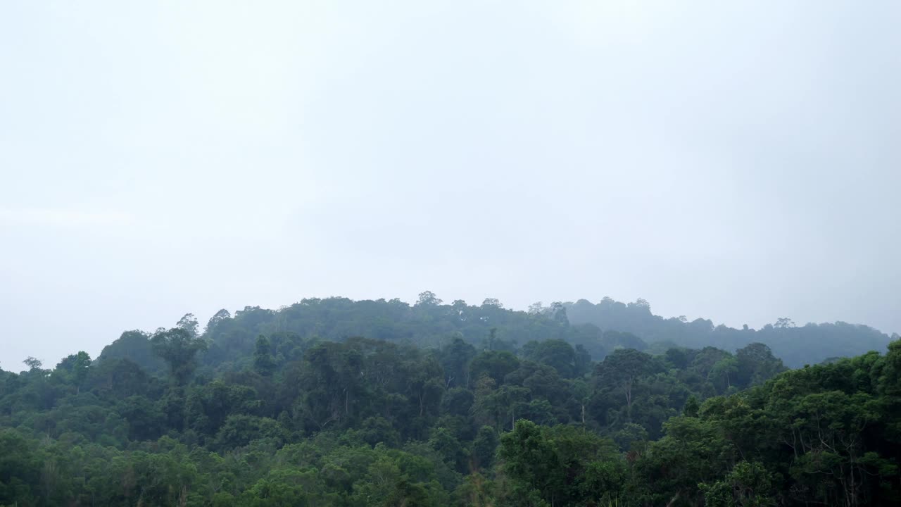 延时景观晨雾覆盖了山顶的绿树。视频下载