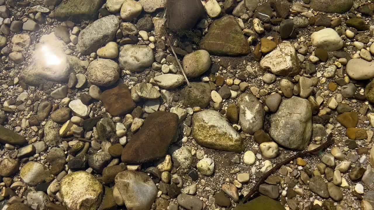 男性的脚在夏季的高山河流中行走视频素材