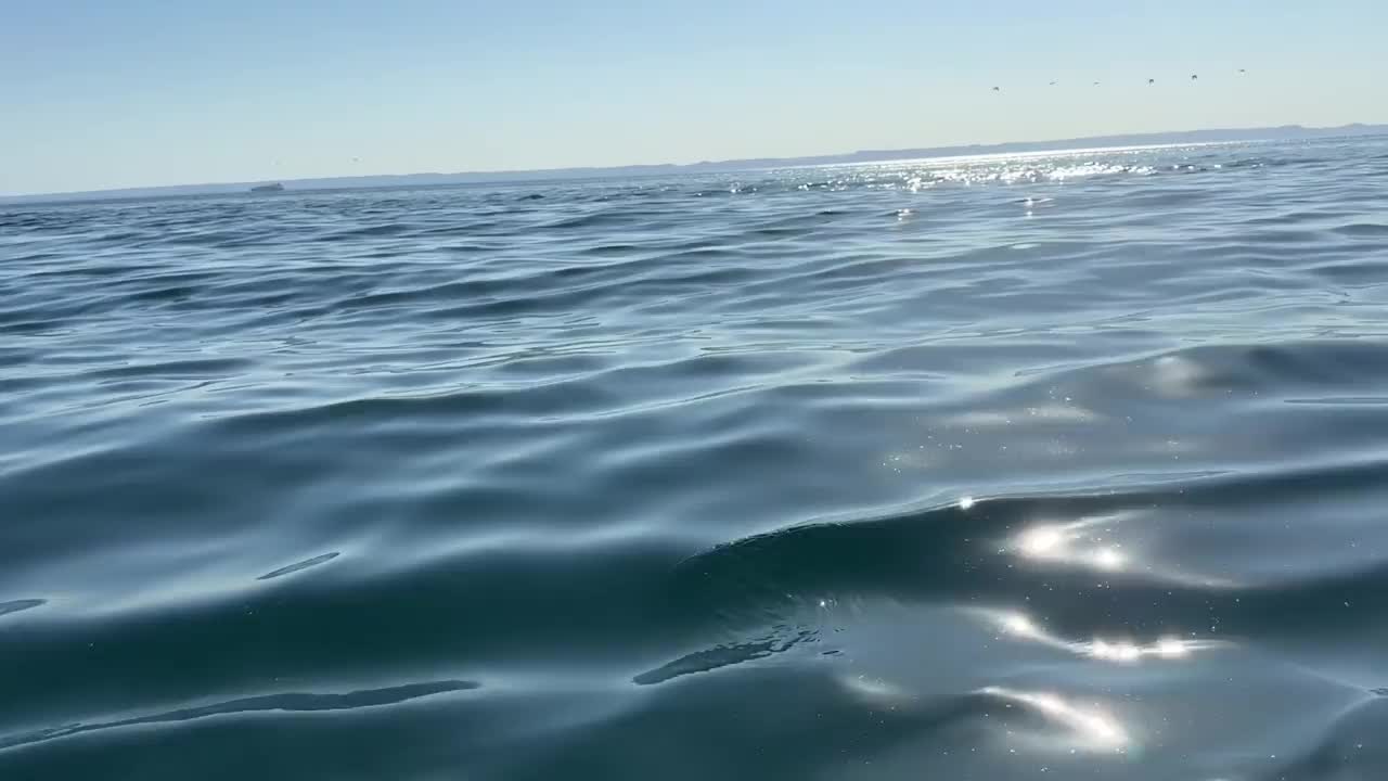 阳光反射在平静的海水上视频素材