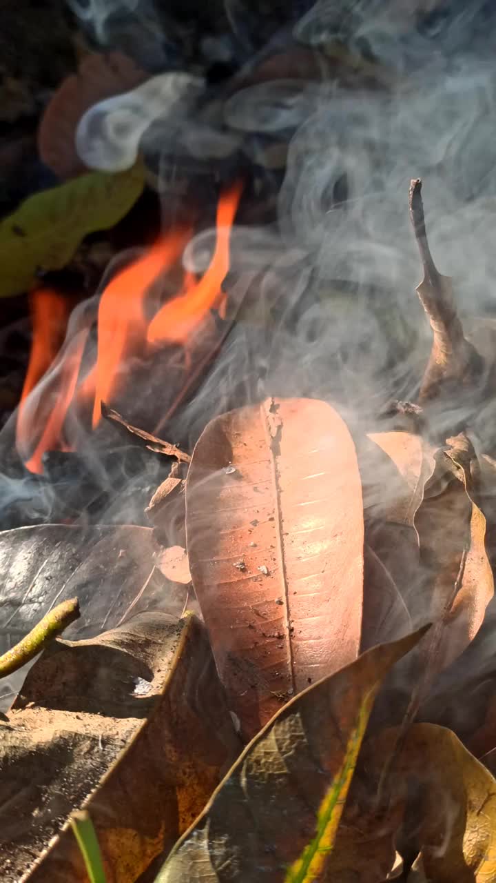 垃圾燃烧产生的烟视频下载