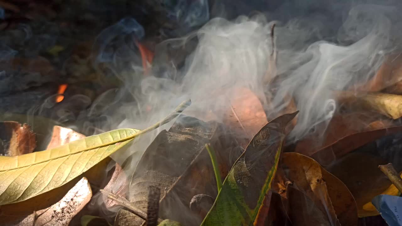 垃圾燃烧产生的烟视频下载