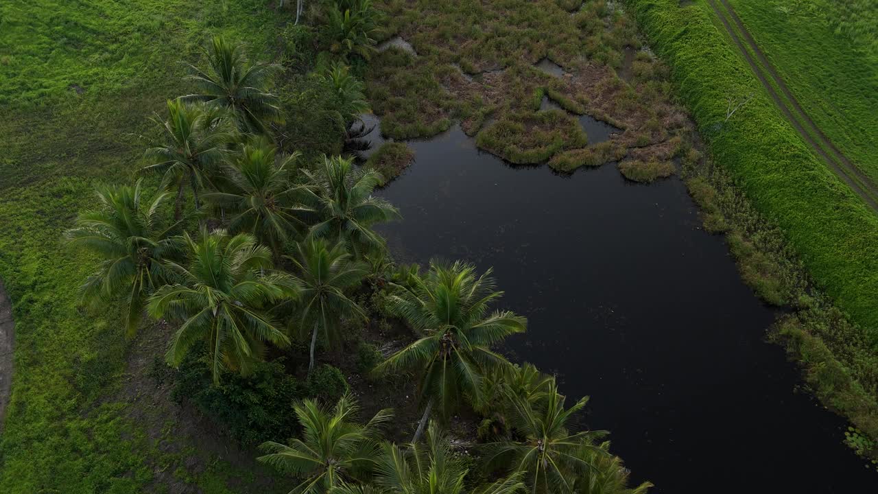 天堂之旅视频素材