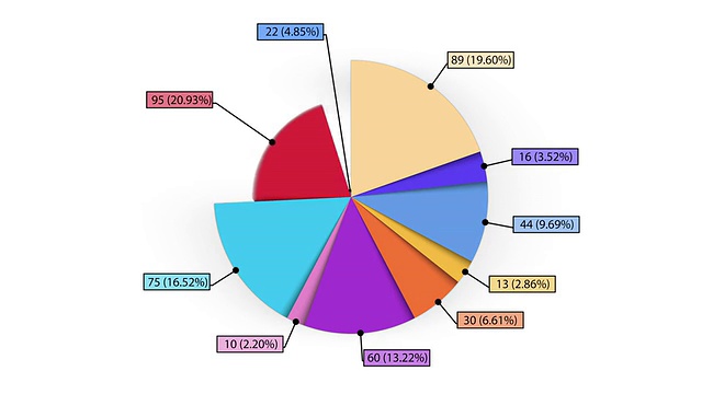 动画饼图，十个部分。两个版本。哑光。视频素材