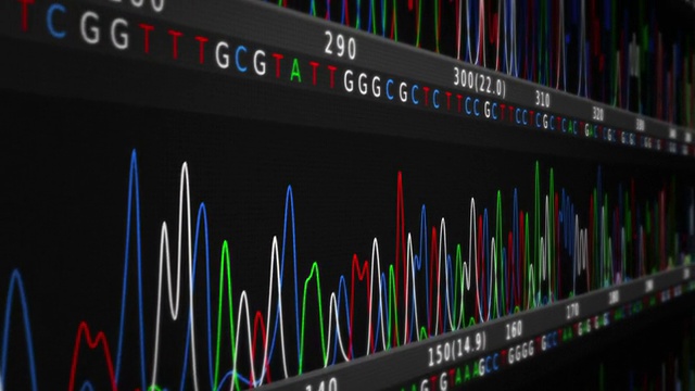 DNA序列。侧面图。穿着蓝黑色。视频素材