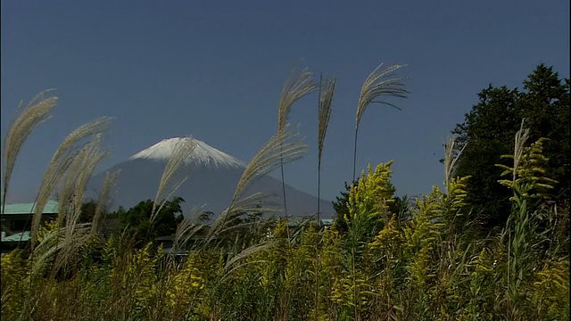 富士山视频素材