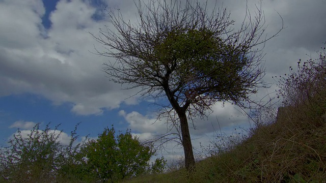 天空云时间流逝与机动滑块，单反HDR Raw视频素材