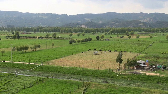 田野，平原，草地，牧场，风景视频素材