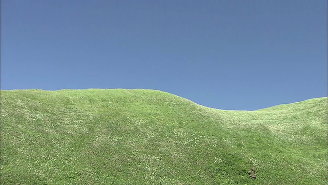 北海道田园诗般的风景视频素材