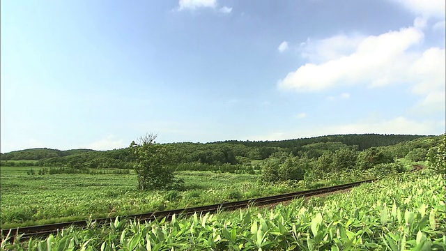 北海道田园诗般的风景视频素材