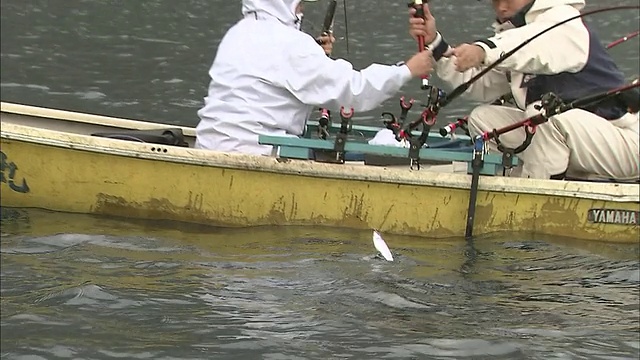 科卡尼在元津湖钓鱼视频素材