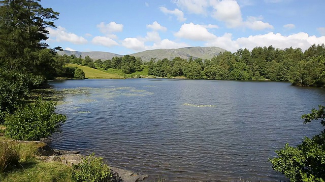 英国湖区鹰头湖附近的Tarn Hows视频素材