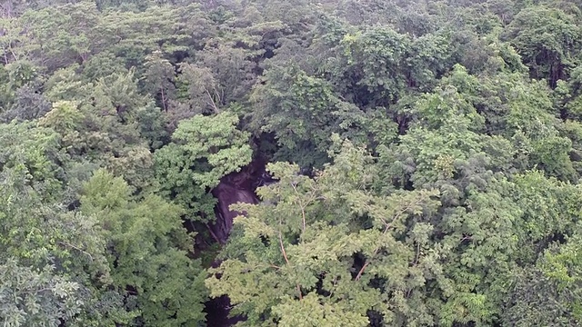 俯瞰森林深处的自然瀑布视频下载
