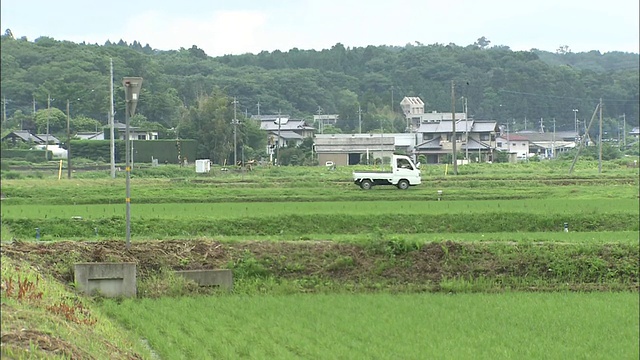 乡村风景和稻田视频素材