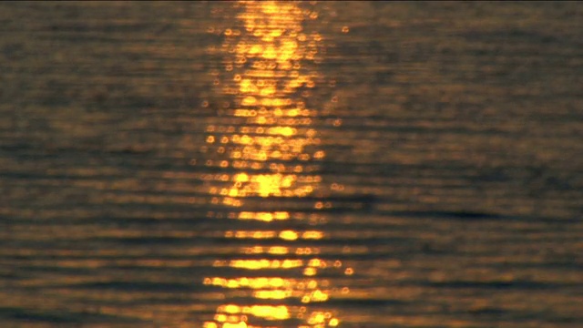 阳光在水面上视频素材