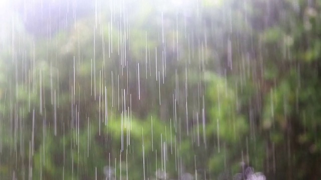 高清:暴风雨天气-股票视频视频素材