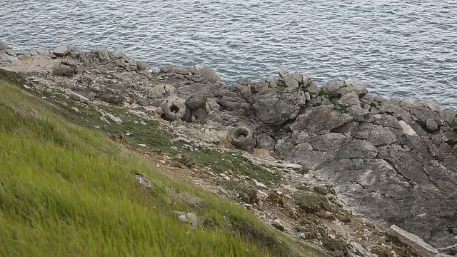 化石森林卢沃斯湾多塞特英格兰英国视频素材