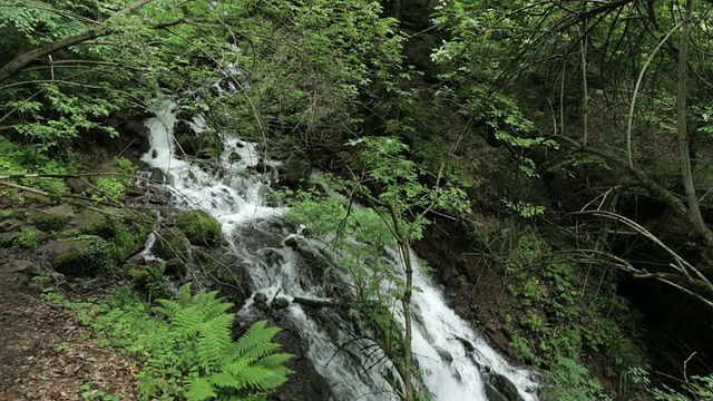 小溪在bolu视频素材