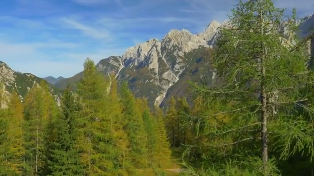 秋天山顶上五颜六色的落叶松视频素材