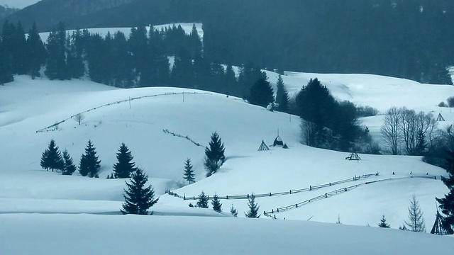 森林降雪视频素材