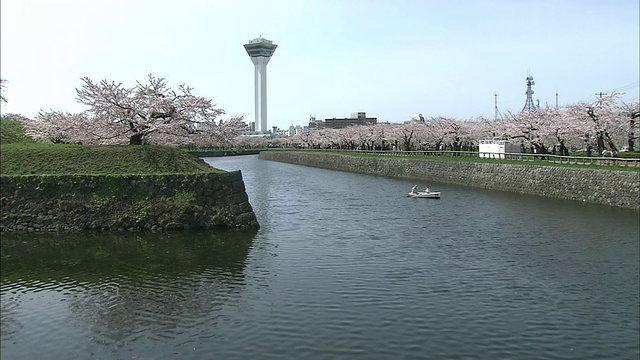 北海道Goryokaku公园视频素材